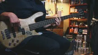 BRADIO - Golden Liar Bass Cover