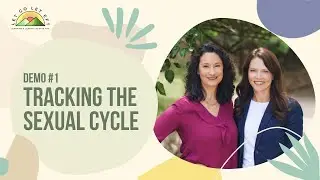 Demo #1 Tracking the Sexual Cycle