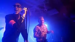 Twisted Nerve & Rio Goldhammer - New Rose