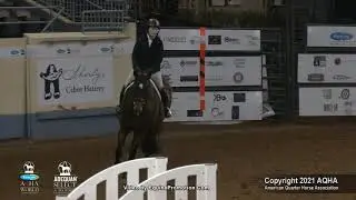 2021 AQHA Senior Working Hunter