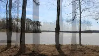 1280 Armor Pt -One of The Landings Best Lake Lots
