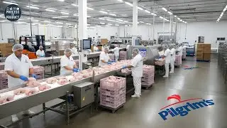 Behind the Pilgrim&rsquo;s Pride Factory: From Fresh, Frozen, Cooked, and Prepared Chicken (Full Process)