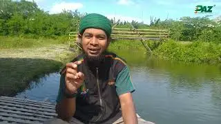PAZ Pengobatan Akhir Zaman Apa Bisa Untuk Terapi Penyakit Autoimun?