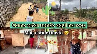 VOCÊ NÃO VAI ACREDITAR na Correria Aqui na Roça! 😳