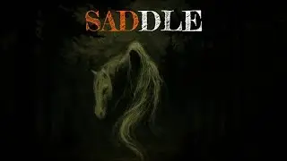 Saddle without a Soul - A Grieving Cowboy's Tribute to His Lost Horse (acoustic version)