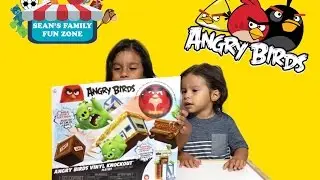 Angry Birds Vinyl Knockout Playset - Sean's Family Fun Zone
