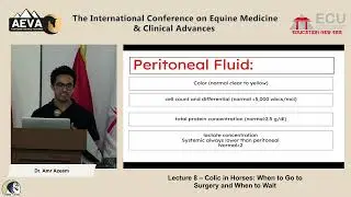 Dr. Amr Azeem &ndash; Head Surgeon,Albaydaa Equine Hospital