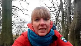 julesild