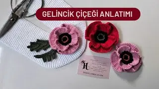 Gelincik Çiçeği Anlatımı 🥀 #reklamdeğil