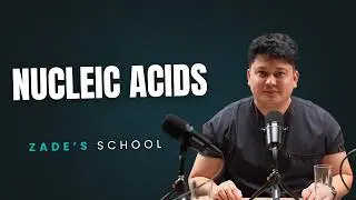 Lesson 8 Nucleic Acids in Action   Structure, Function, and Genetic Information Flow