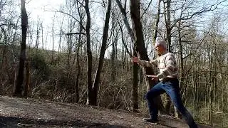 Tai chi basis  6 hele stuk tot werp de aap