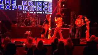 Darling Nikki - Gabriel Sanchez and The Prince Experience (Live, The Vixen, McHenry, IL, 11/8/25)
