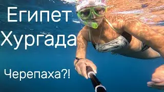 Египет Хургада Выживание в Африке 1.17