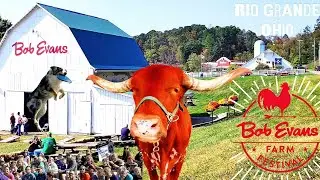 Bob Evans Farm Festival 2024 | Walkthrough | Original Restaurant | Rio Grande, Ohio