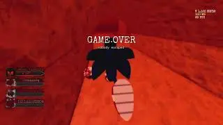 Sonic.EXE The Disaster #10 Sonic Gameplay