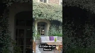 Top 10 Best Restaurants