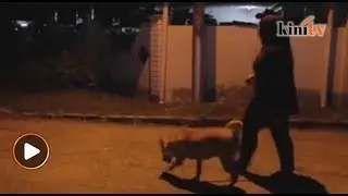 Jakim urges Muslim pet dog owner to repent