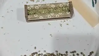 Best way to roll a cannabis joint. How to roll the perfect joint every time