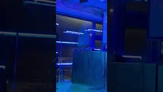 Swedish American Rapper Goes Off at Chicago Open Mic