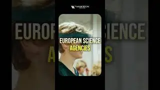 Study in Latvia 2025 | Affordable European Education | Wilberton Education