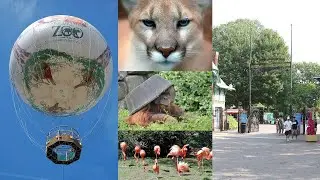 Philadelphia Zoo | First True zoo in the United States