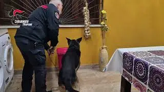Operazione Nirvana a Trapani