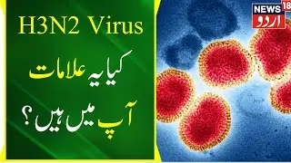 H3N2 Virus | Causes | Symptoms | Jane Sab Kuch |  Health News | News18 Urdu