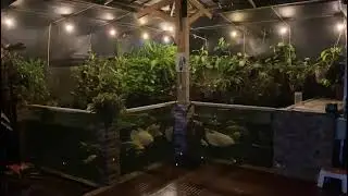 Inspirasi Glasspond di teras rumah yang menyejukan mata