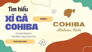 Cohiba: Từ x&igrave; g&agrave; &ldquo;ri&ecirc;ng&rdquo; đến biểu tượng to&agrave;n cầu (Tập 1) | Y&ecirc;u Cigar