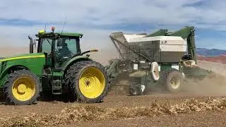 Harvesting Beans on the Werbelow Farm