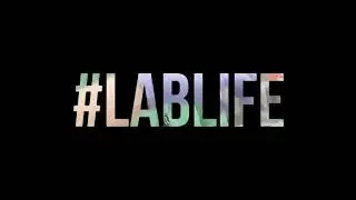 Lab routines