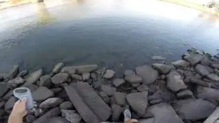 september delta fishing: shallow crainking and punching