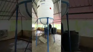 Selzer water tank #selzer #watertank #cleaning #happiness #new #selfcleaning #viralvideo #shorts