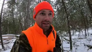 Maine Deer Hunting 2020