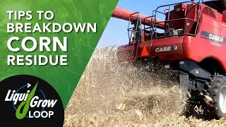 How to Manage Corn Residue in Fall and Spring