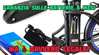 batterie litio un nuovo problema garanzia 6 mesi come funziona e quando vale  legge argento minimax