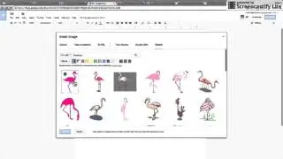 Google Docs: Basic Formatting