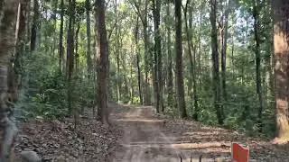 Evening Safari Jim Corbett National Park ! Shikari Batiya Dangerous Road ! #jimcorbett 