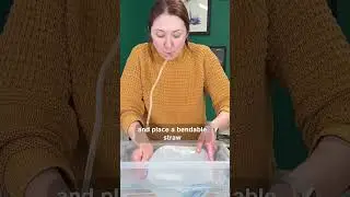 Проверьте объём лёгких: самостоятельный эксперимент