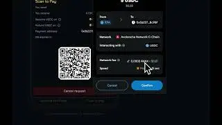 Scan & Pay on Scroll with Router Pay &ndash; No Wallets, No Approvals!