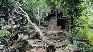 She Found an Abandoned House in Nature – How Did She Survive There?