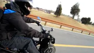 150cc Fatty Ruckus Stretch
