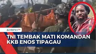 TNI Tembak Mati Komandan KKB Enos Tipagau di Intan Jaya, Disebut Kerap Serang Warga Sipil