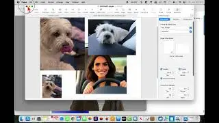 Apple Workshop Review 6 20 2025  Remove a Background from and Image and  Copy it to Photos
