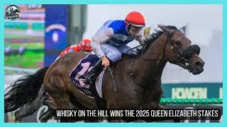 WHISKY ON THE HILL wins the G3 Queen Elizabeth Stakes