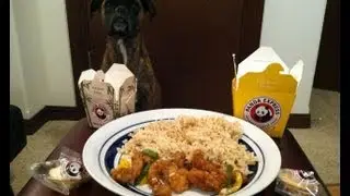 Panda Express Honey Sesame Chicken Breast (Free Sample) Review