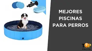 Top 5 mejores piscinas para perros