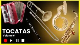 ACORDEON WALLACE - FLAUTA FELIPE - PIANO EBER  - SAX TENOR ALDEIR - TUBA TIAGO