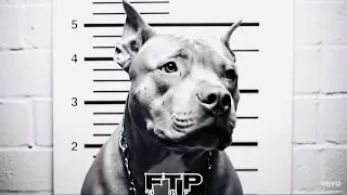 Hush-Puppie #dmx #newmusic #hiphop #freethepeoplemusic #rap #freestylerap Freestyle Cypher FTP