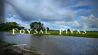 Satbaria Village |A Beautiful Village in Comilla | Foysa Piyas |